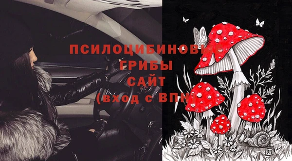 ECSTASY Алзамай