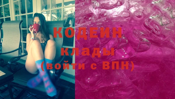 индика Арсеньев