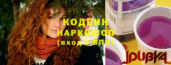 ECSTASY Алзамай